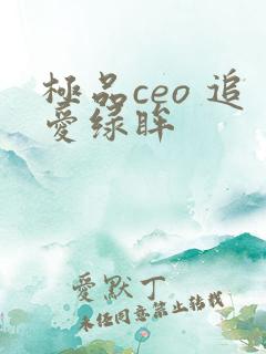 极品ceo 追爱绿眸