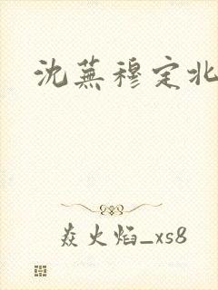 沈芜穆定北小说