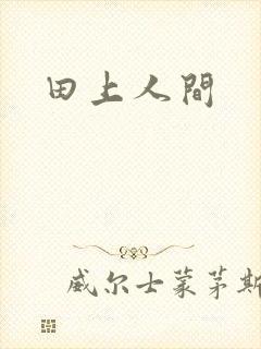 田上人间
