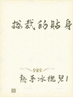 总裁的贴身女佣