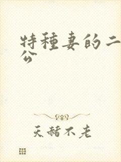 特种妻的二手老公