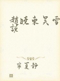 赵晓东吴雪晴小说