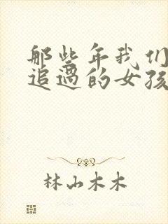 那些年我们一起追过的女孩小说