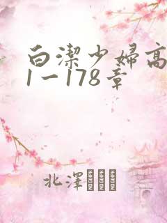 白洁少妇高义第1一178章