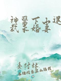 神医下山退婚总裁未婚妻