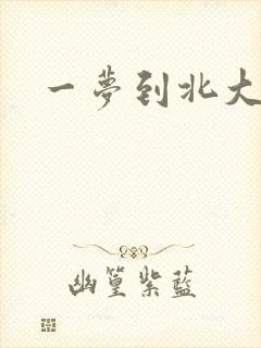 一梦到北大