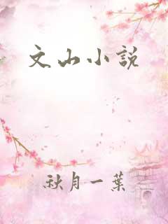 文山小说