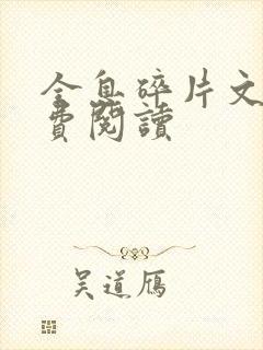 全息碎片文轩免费阅读