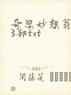奇思妙想翁乱13部txt