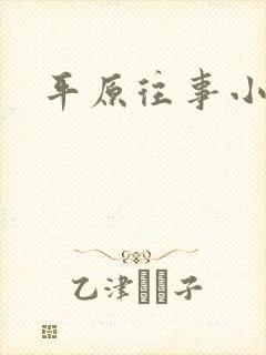 平原往事小说