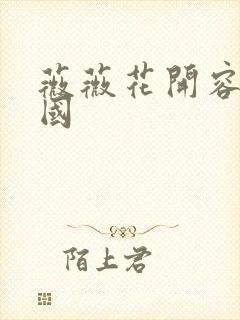 薇薇花开容颜倾国