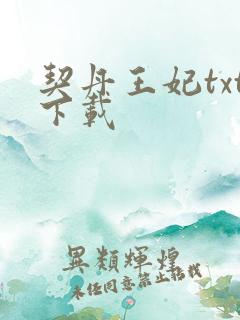 契丹王妃txt下载