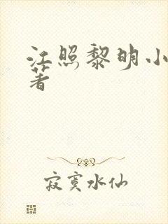 江照黎明小说原著