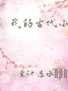 我的古代小夫侍