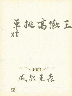 单挑高傲王子txt