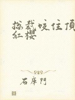 总裁咬住顶端的红樱