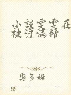 小说雯雯在工地被灌满精