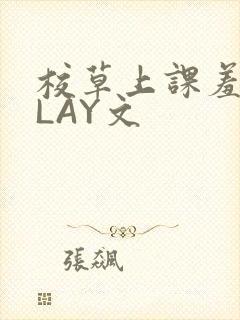 校草上课羞耻PLAY文