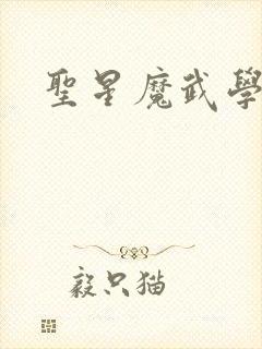 圣星魔武学院