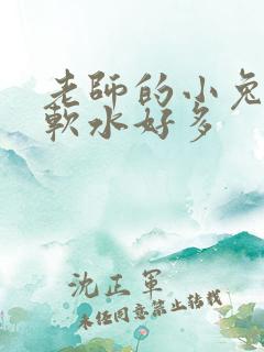 老师的小兔子好软水好多