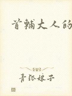 首辅大人的套路