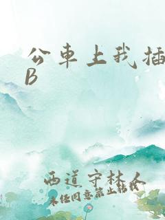 公车上我插上骚B