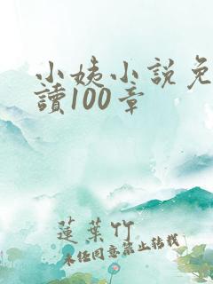 小姨小说免费阅读100章