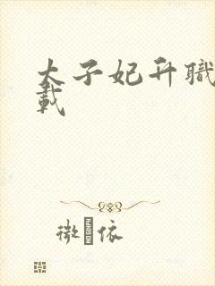 太子妃升职记下载