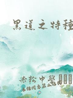 黑道之特种兵王