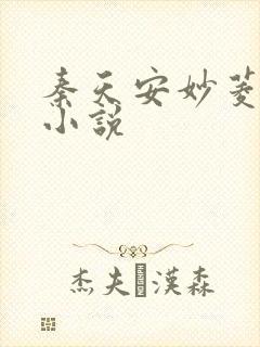 秦天安妙菱修仙小说