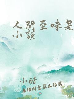 人间至味是清欢小说