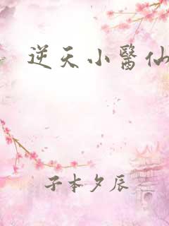 逆天小医仙陈平