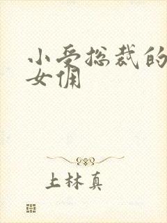 小受总裁的野蛮女佣