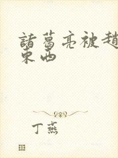 诸葛亮被赵云塞东西