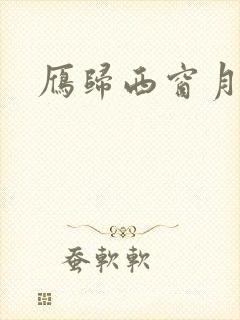 雁归西窗月小说