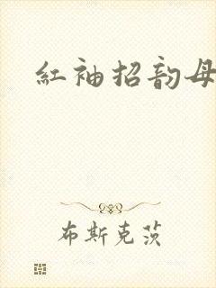 红袖招韵母攻略