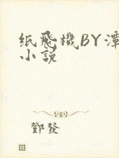 纸飞机BY潭石小说