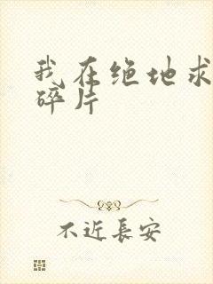 我在绝地求生捡碎片