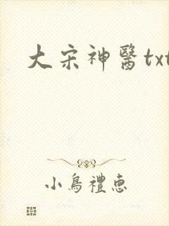 大宋神医txt