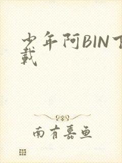 少年阿BIN下载