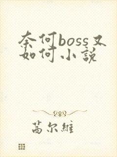 奈何boss又如何小说