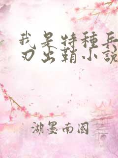 我是特种兵之利刃出鞘小说