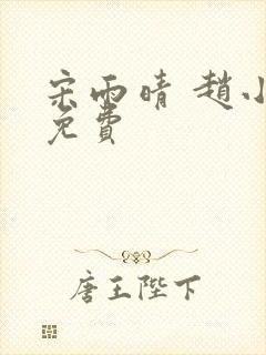 宋雨晴 赵小刚免费