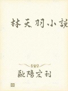 林天羽小说