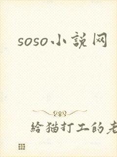 soso小说网