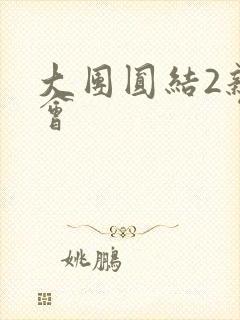 大团圆结2亲情会