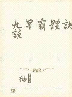 九星霸体诀 小说