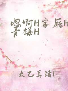 嗯啊H客厅HH青梅H