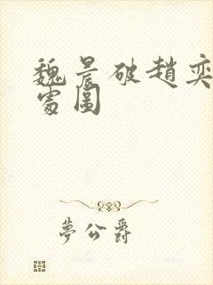 魏晨破赵奕欢的处图