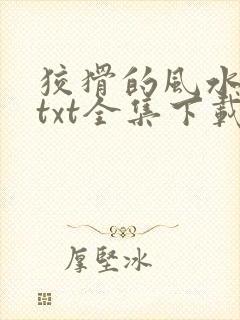 狡猾的风水相师txt全集下载